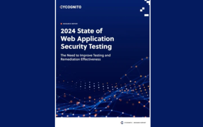 2024 State of Web Application Security Testing